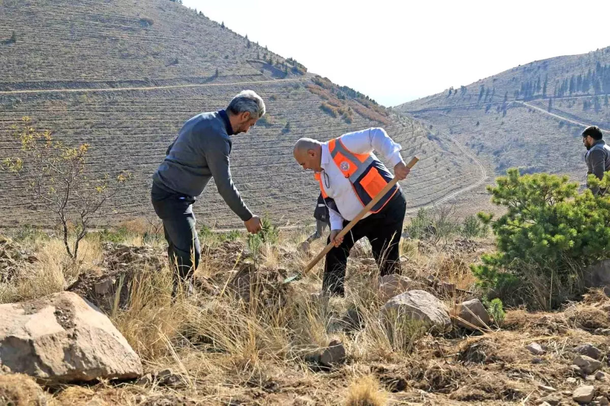 Talas Belediyesi’nden Ali Dağlı’na 1111 Fidan