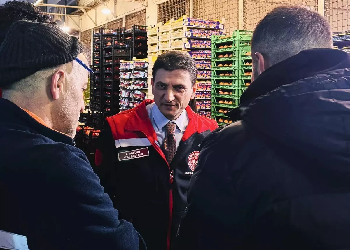 İstanbul’da Pestisit Denetimi Yapıldı