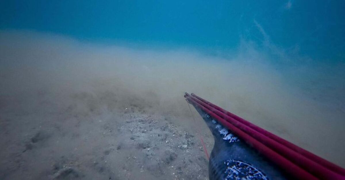 Çanakkale Boğazı’nda deniz dibinde müsilaj yoğunluğu